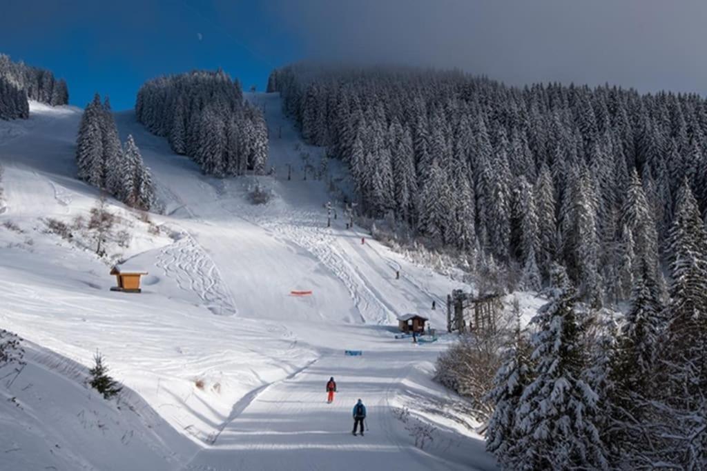 Le Snow Roc: Ski-in With Panoramic Terrace And Sauna *