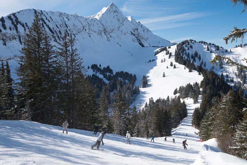 Apartment Le Snow Roc: Ski-in With Panoramic Terrace And Sauna Saint-Jean-d'Aulps