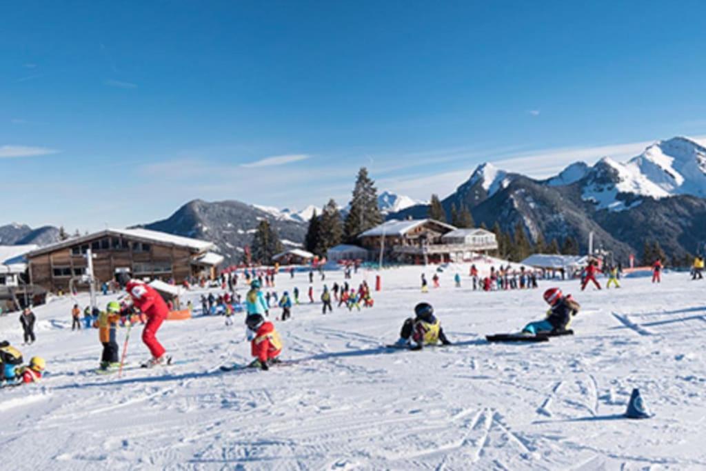 Le Snow Roc: Ski-in With Panoramic Terrace And Sauna Apartment Saint-Jean-d'Aulps
